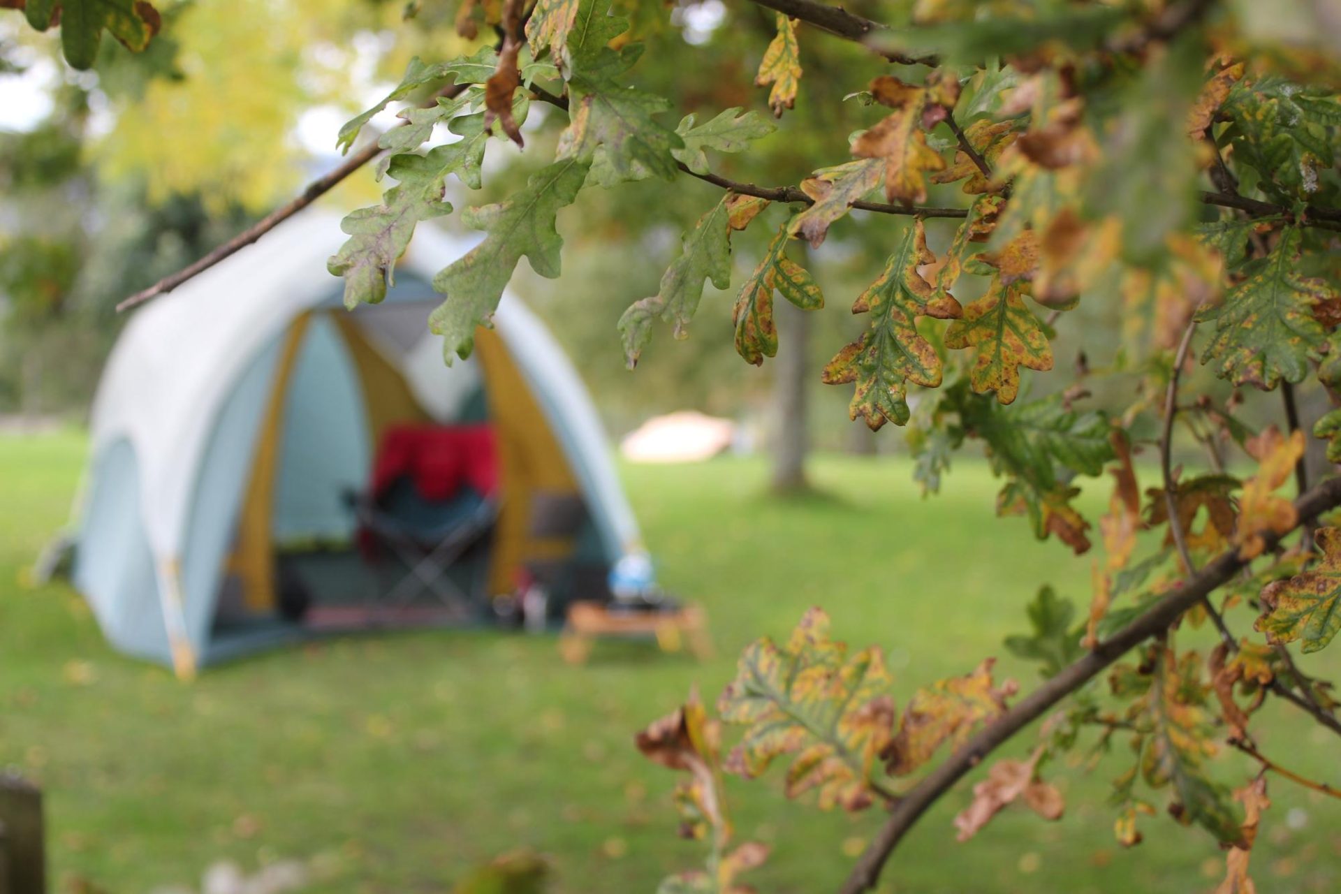 Camping, autumn, outdoor and leaves