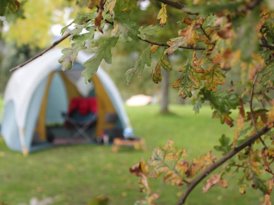 Camping, autumn, outdoor and leaves