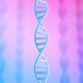 Genome