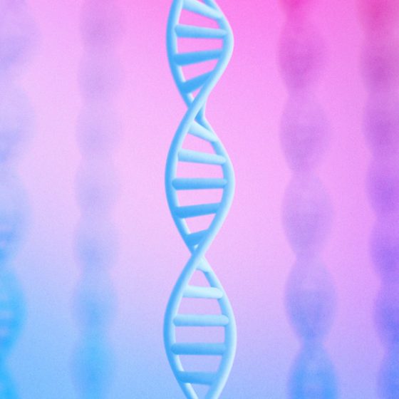 Genome